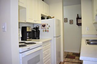 Photo 11: 4A 231 Heritage Drive SE in Calgary: Acadia Apartment for sale : MLS®# A2047669