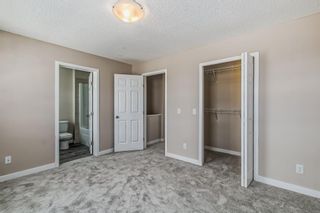 Photo 25: 80 Skyview Point Crescent NE in Calgary: Skyview Ranch Detached for sale : MLS®# A2041402
