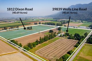 Photo 40: 39839 WELLS LINE Road in Abbotsford: Sumas Prairie House for sale : MLS®# R2722816