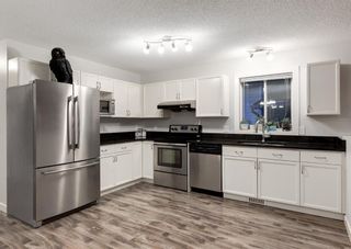 Photo 9: 203 APPLEBROOK Circle SE in Calgary: Applewood Park Detached for sale : MLS®# A1198432