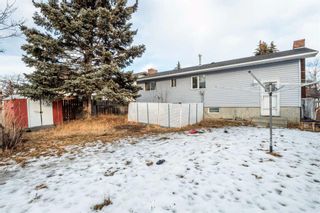 Photo 36: 3427 56 Street NE in Calgary: Temple Detached for sale : MLS®# A2104752