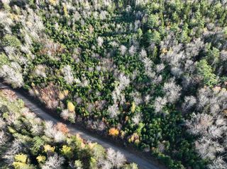 Photo 1: Lots Victory Road in Victory: Annapolis County Vacant Land for sale (Annapolis Valley)  : MLS®# 202225167