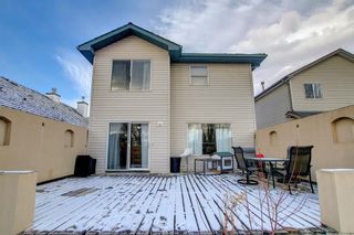 Photo 48: 166 Mt Apex Crescent SE in Calgary: McKenzie Lake Detached for sale : MLS®# A1178699