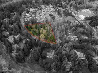 Photo 7: 24115 FERN Crescent in Maple Ridge: Silver Valley Land for sale : MLS®# R2872512
