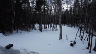 Photo 7: 111 Blue Jay Way in Vaughan: Hants County Vacant Land for sale (Annapolis Valley)  : MLS®# 202402630