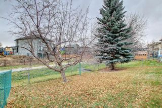 Photo 41: 1315 Harvest Hills Drive NE in Calgary: Harvest Hills Detached for sale : MLS®# A1160854