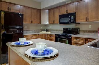 Photo 8: 308 69 Ironstone Drive: Red Deer Apartment for sale : MLS®# A1235879