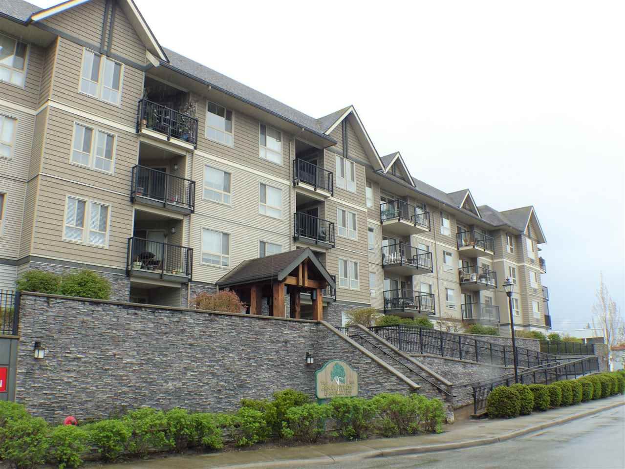 Main Photo: 406 9000 BIRCH STREET in Chilliwack: Chilliwack W Young-Well Condo for sale : MLS®# R2235319