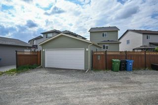 Photo 44: 115 Skyview Springs Gardens NE in Calgary: Skyview Ranch Detached for sale : MLS®# A1230838