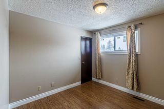 Photo 22: 55 TEMPLEVALE Way NE in Calgary: Temple Detached for sale : MLS®# A2103805