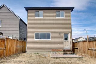 Photo 32: 484 COPPERPOND BV SE in Calgary: Copperfield House for sale : MLS®# C4292971