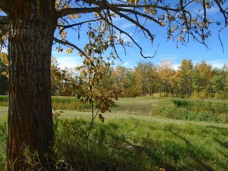 Photo 5: 62 Slopeside Drive: Rural Lacombe County Residential Land for sale : MLS®# A2051447