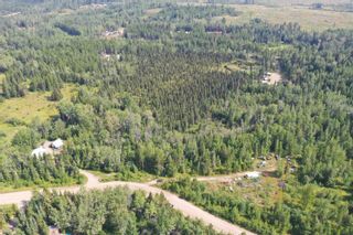 Photo 17: 3838 BLUE RIDGE Road in Quesnel: Quesnel - Rural North House for sale in "Barkerville Highway" : MLS®# R2718319