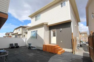 Photo 34: 25 Elgin Meadows Green SE in Calgary: McKenzie Towne Detached for sale : MLS®# A2128345