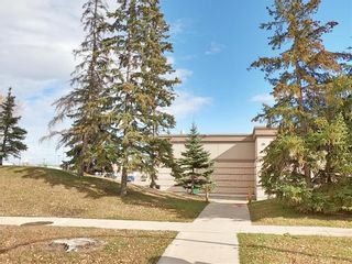 Photo 23: 664 Buchanan Boulevard in Winnipeg: Crestview Residential for sale (5H)  : MLS®# 202025404