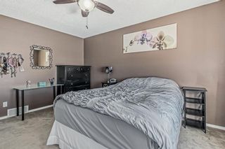 Photo 32: 169 Elgin Gardens SE in Calgary: McKenzie Towne Row/Townhouse for sale : MLS®# A2022223