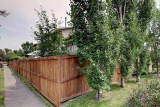 Photo 22: 110 DEERFIELD Terrace SE in Calgary: Deer Ridge House for sale : MLS®# C4123944