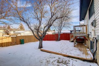 Photo 30: 212 Rundlefield Road NE in Calgary: Rundle Detached for sale : MLS®# A1166043