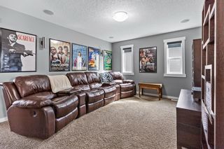 Photo 25: 217 Walden Square SE in Calgary: Walden Detached for sale : MLS®# A1208615
