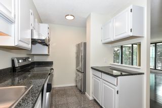 Photo 8: 304 4165 MAYWOOD Street in Burnaby: Metrotown Condo for sale in "Place on the Park" (Burnaby South)  : MLS®# R2681147