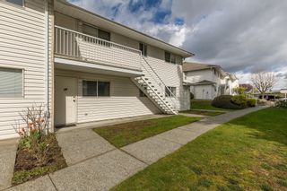 Photo 31: 35 2938 TRAFALGAR Street in Abbotsford: Central Abbotsford Townhouse for sale : MLS®# R2867307