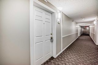 Photo 4: 211 260 Shawville Way SE in Calgary: Shawnessy Apartment for sale : MLS®# A2129170