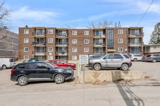 Photo 6: 305 635 57 Avenue SW in Calgary: Windsor Park Apartment for sale : MLS®# A2124917