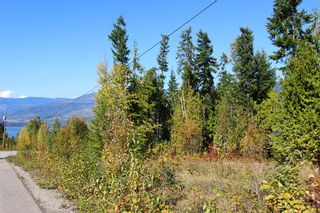 Photo 4: Lot 84 Talin Place in Eagle Bay: Land Only for sale : MLS®# 10125064