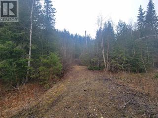 Photo 3: 28 Gardom Lake Road in Enderby: Vacant Land for sale : MLS®# 10277294