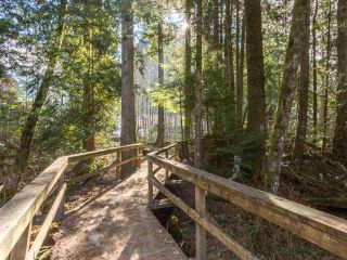 Photo 19: 38648 CHERRY Drive in Squamish: Valleycliffe House for sale in "Raven's Plateau" : MLS®# R2205403