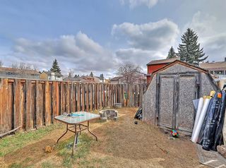 Photo 28: 2416 56 Street NE in Calgary: Pineridge Semi Detached for sale : MLS®# A1217539