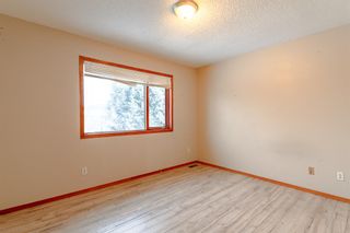 Photo 18: 44 Applewood Court SE in Calgary: Applewood Park Detached for sale : MLS®# A2053043