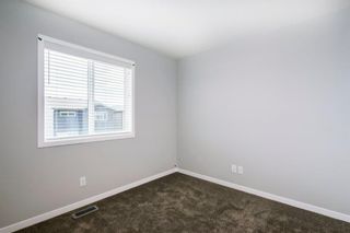 Photo 42: 38 Wolf Hollow Way SE in Calgary: C-281 Detached for sale : MLS®# A1013353