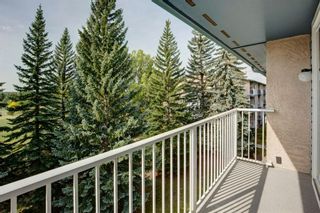 Photo 23: 406C 5601 Dalton Drive NW in Calgary: Dalhousie Apartment for sale : MLS®# A1146275