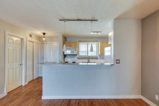 Photo 11: 314 2440 34 Avenue SW in Calgary: South Calgary Apartment for sale : MLS®# A2076359