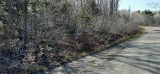 Photo 3: Lot Tupper Street in Milton: 406-Queens County Vacant Land for sale (South Shore)  : MLS®# 202205438