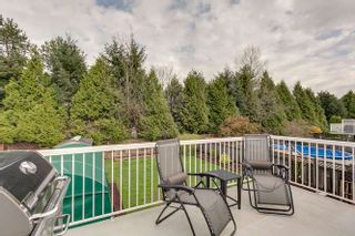 Photo 28: 20145 119A Ave West Maple Ridge Basement Entry Home For Sale
