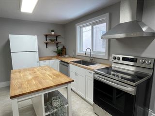 Photo 7: 433 Boyd Avenue in Winnipeg: North End Residential for sale (4A)  : MLS®# 202301833