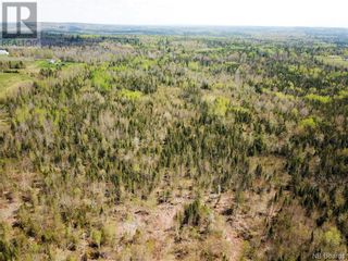 Photo 11: -- 730 Route in Pomeroy Ridge: Vacant Land for sale : MLS®# NB087048