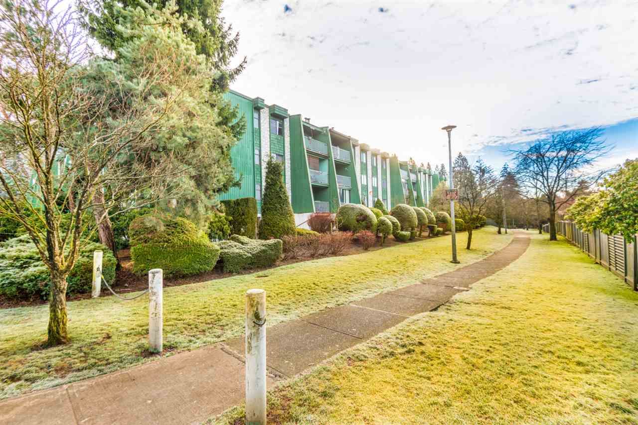 Main Photo: 103 9202 HORNE Street in Burnaby: Government Road Condo for sale in "LOUGHEED ESTATES" (Burnaby North)  : MLS®# R2330176