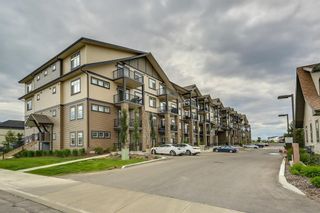 Photo 17: 318 117 Copperpond Common SE in Calgary: Copperfield Apartment for sale : MLS®# A2022054
