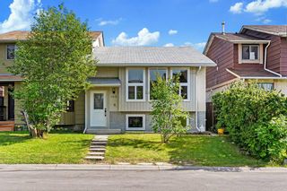 Photo 3: 163 Pinemeadow Road NE in Calgary: Pineridge Semi Detached (Half Duplex) for sale : MLS®# A2144225