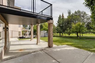 Photo 50: 1053 Panorama Hills Landing NW in Calgary: Panorama Hills Detached for sale : MLS®# A2001854