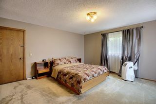 Photo 21: 172 Edendale Way NW in Calgary: Edgemont Detached for sale : MLS®# A1133694
