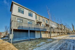 Photo 36: 114 Walden Circle SE in Calgary: Walden Row/Townhouse for sale : MLS®# A2024753