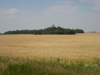 Photo 2: SE 20 30 1 W5 Highway 2A: Carstairs Residential Land for sale : MLS®# A1067588