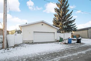 Photo 15: 44 Castlebrook Rise NE Calgary Home For Sale