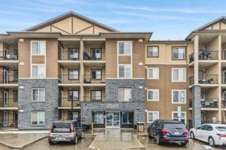 Main Photo: 2132 81 Legacy Boulevard SE in Calgary: Legacy Apartment for sale : MLS®# A2119673