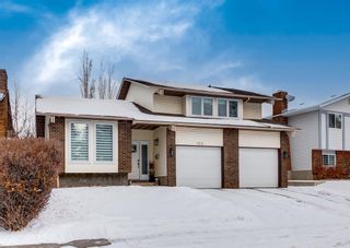 Photo 1: 123 Woodside Circle SW in Calgary: Woodlands Detached for sale : MLS®# A2020715