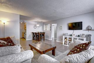 Photo 10: 8 6827 Centre Street NW in Calgary: Huntington Hills Apartment for sale : MLS®# A1133167